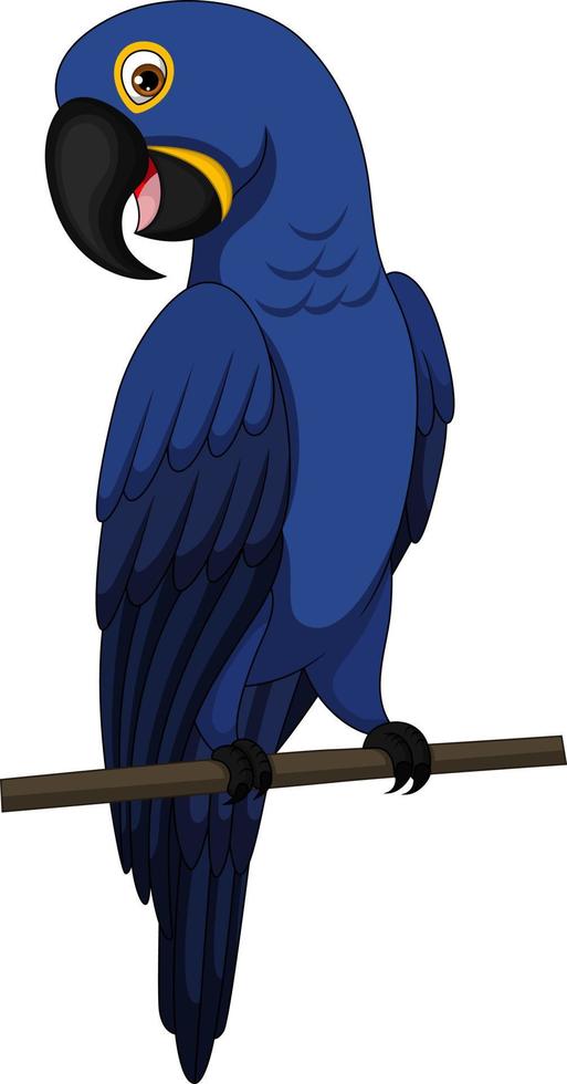 Cute blue macaw parrot sits on a branch vector