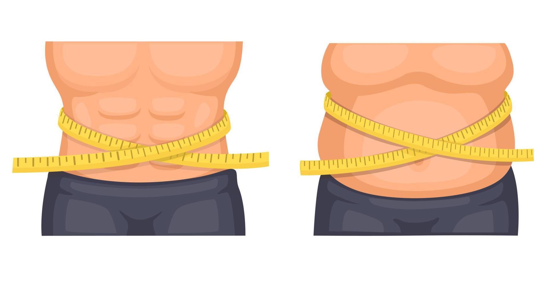 vientre de hombre en forma y comparación de grasa con vector de ilustración de regla de cinta