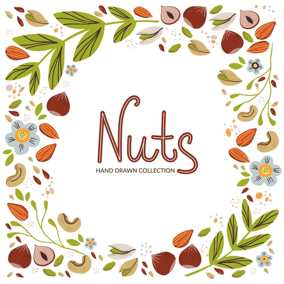 Hand drawn healthy snack design template. Organic food vector illustration. Frame with different nuts and seeds on white background