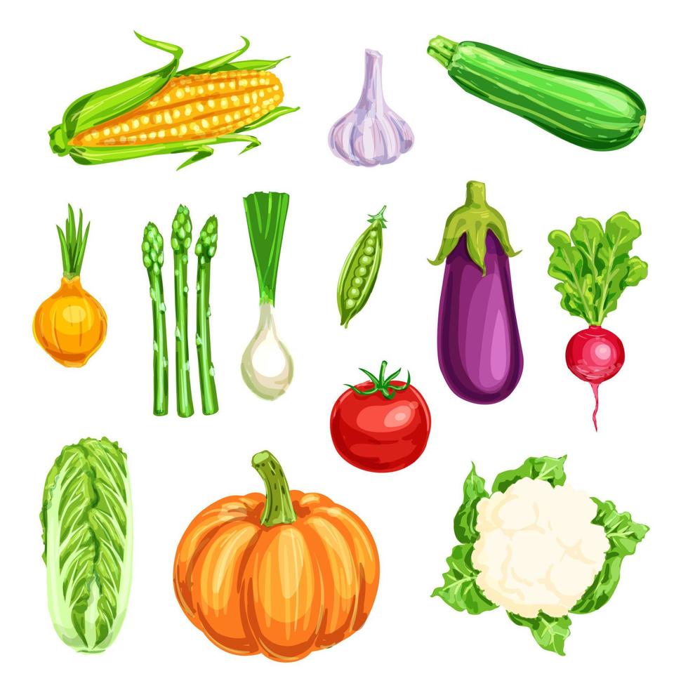 Vegetable watercolor icon of organic farm veggies vector