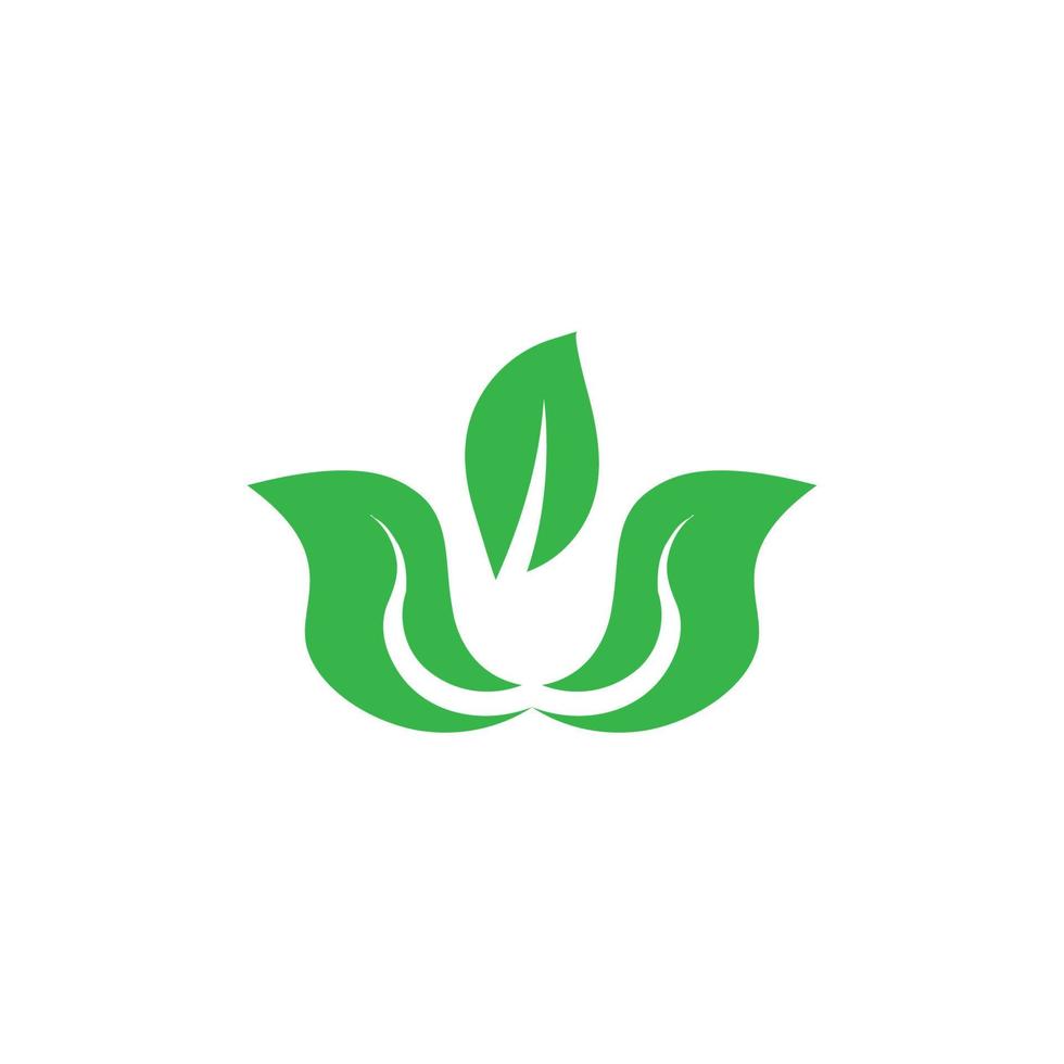 logo de hoja verde vector