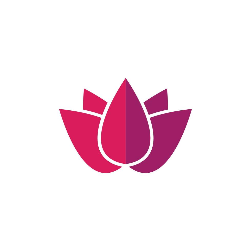 Beauty Vector Lotus flowers