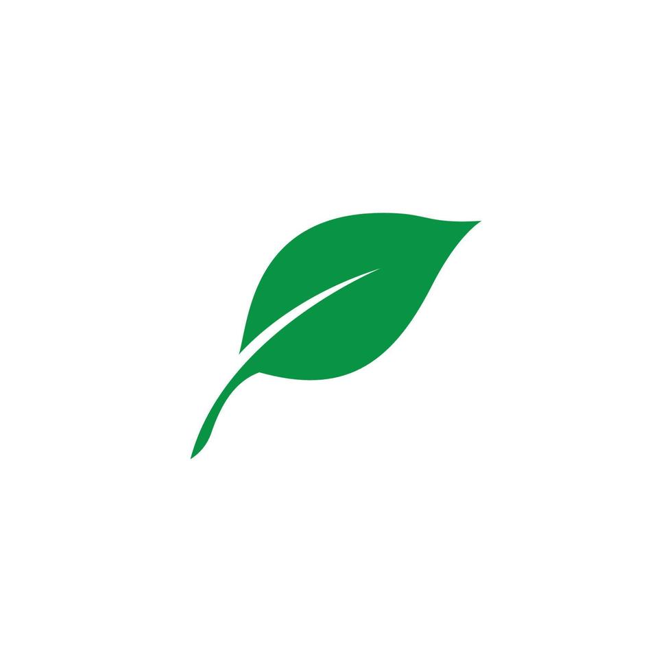 Eco Tree Leaf vector