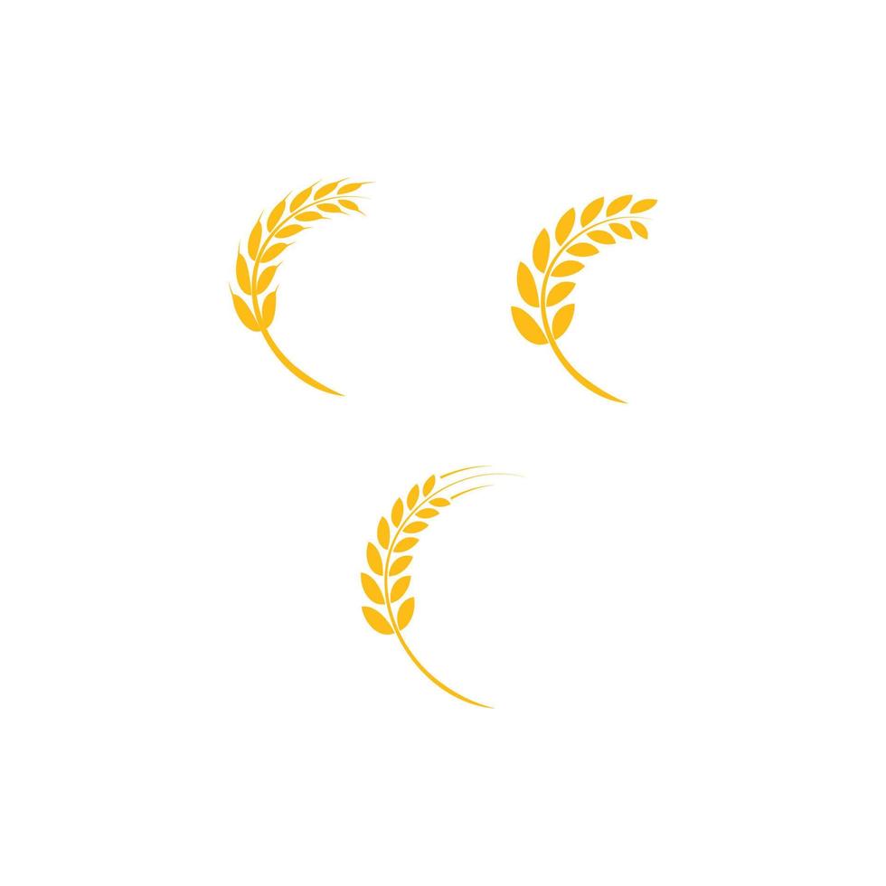 vector de logotipo de trigo