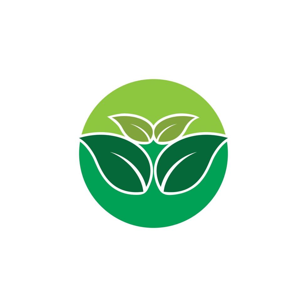 Eco Tree Leaf vector