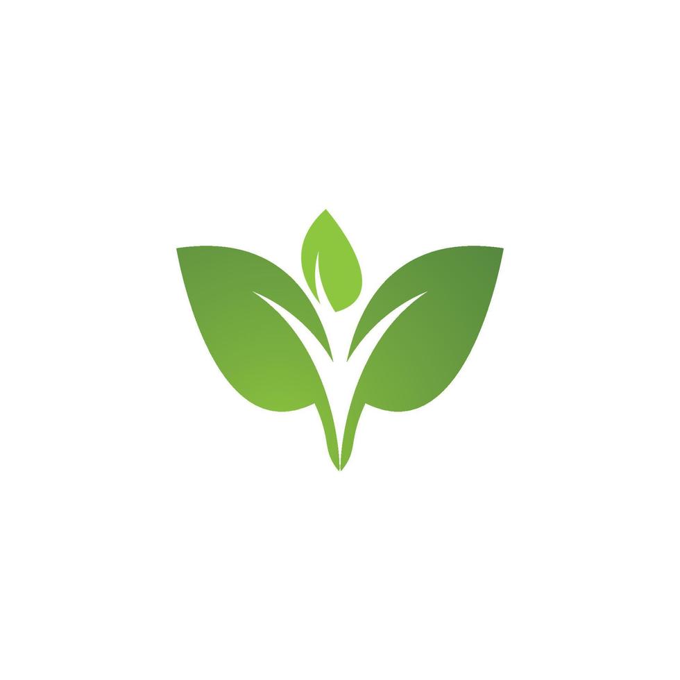 Eco Tree Leaf vector