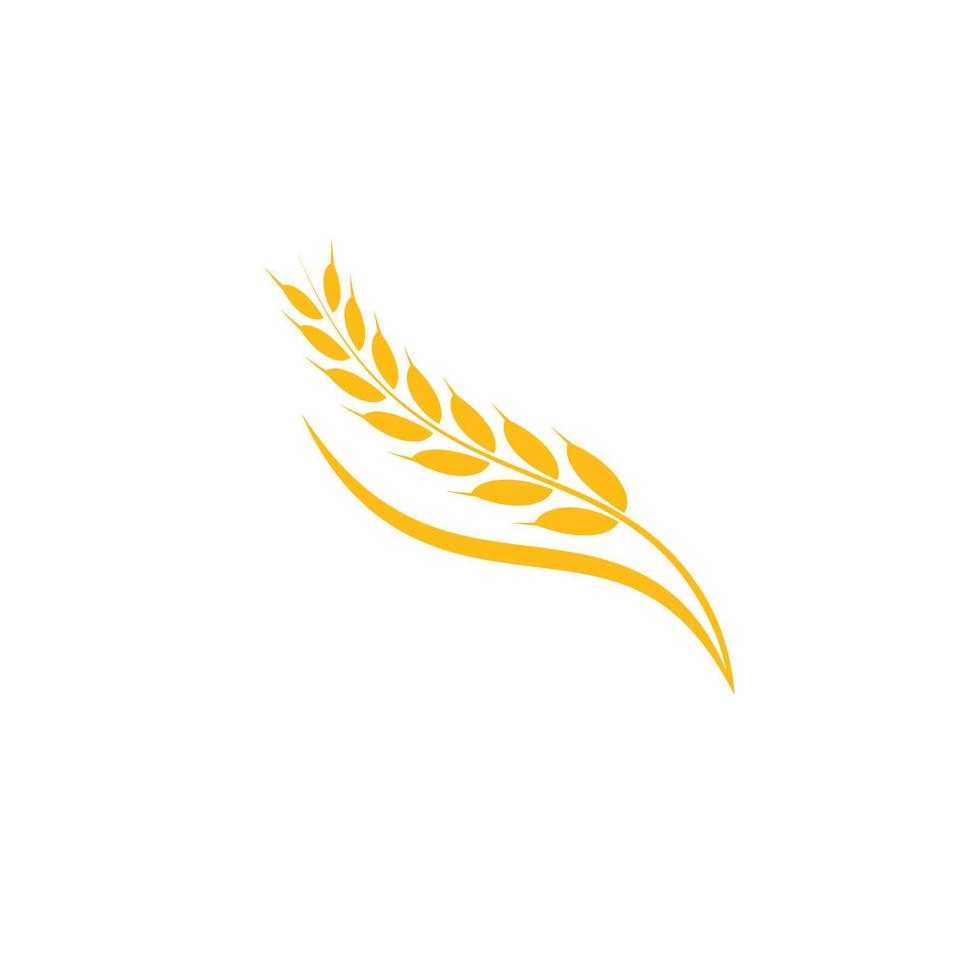 wheat logo vector