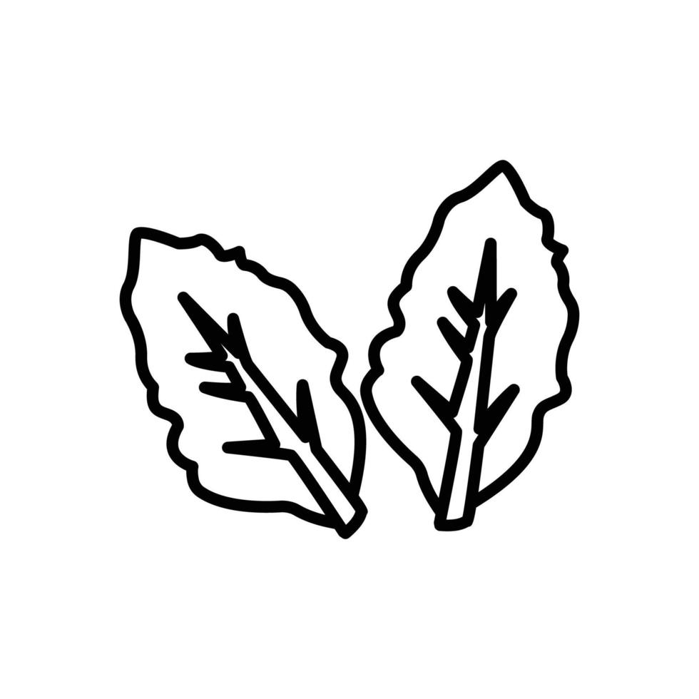 Lettuce leaf line icon illustration. icon illustration related to spices, cooking spices. Simple vector design editable.