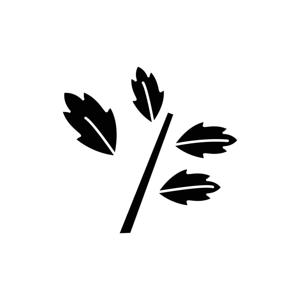 ilustración de icono de glifo de hoja de cilantro. ilustración de icono relacionada con especias, especias para cocinar. diseño vectorial simple editable. vector