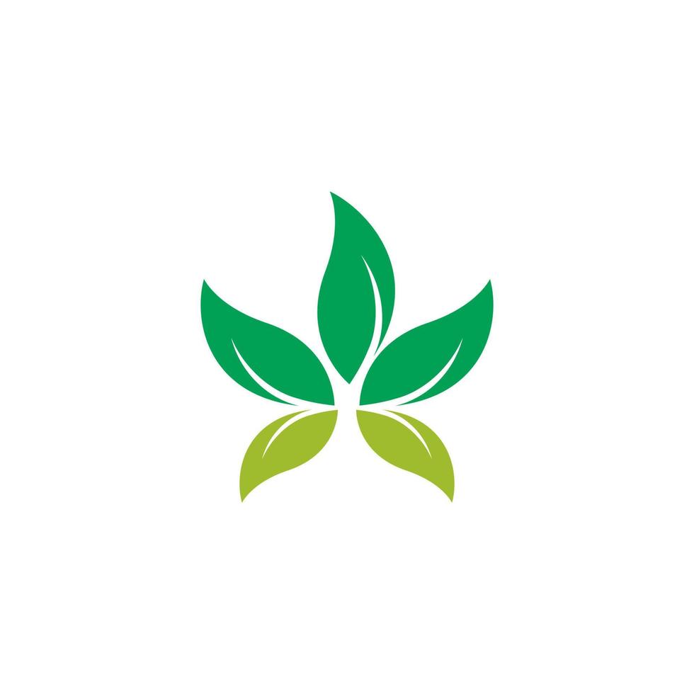 Eco Tree Leaf vector
