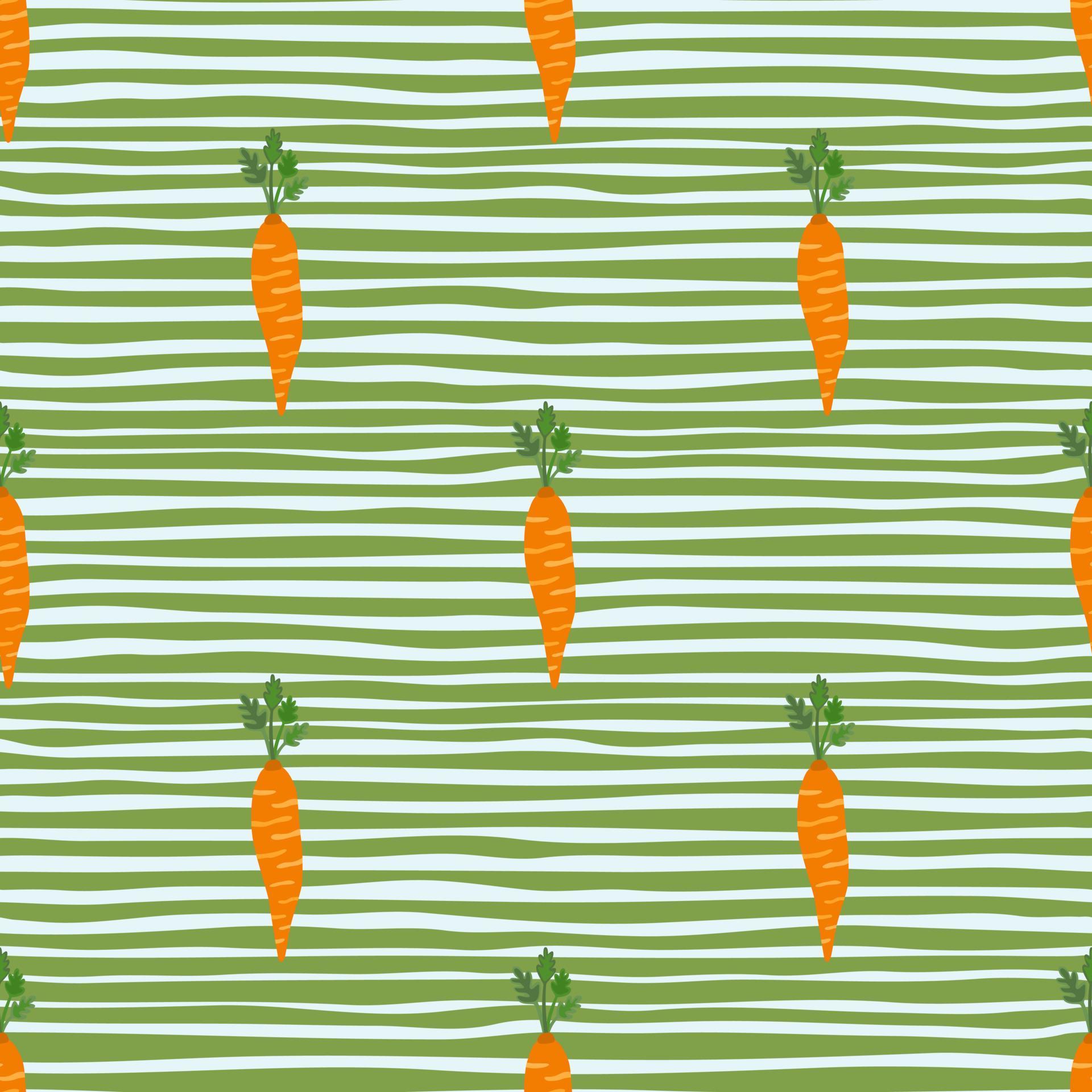 Hand drawn carrot seamless pattern. Doodle carrots wallpaper. 13046349