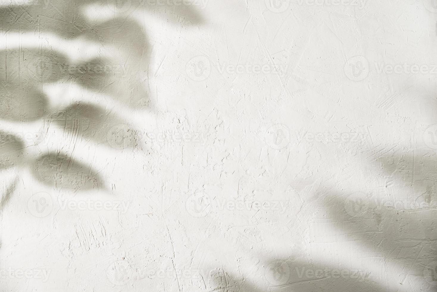 sombra de hoja sobre fondo blanco. fondo abstracto creativo foto