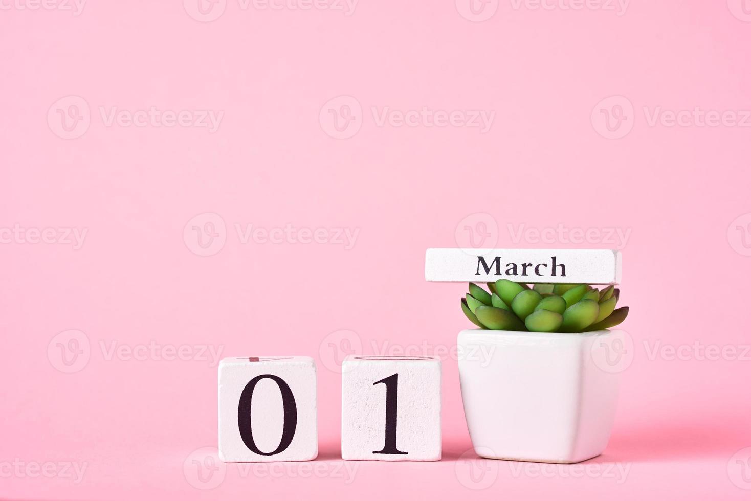 Wooden block calendar with date 1st march and plant on the pink background. Spring concept photo