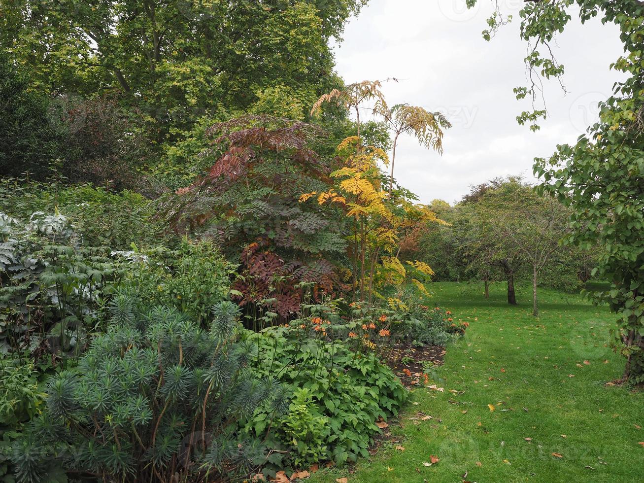 St James's Park in London photo