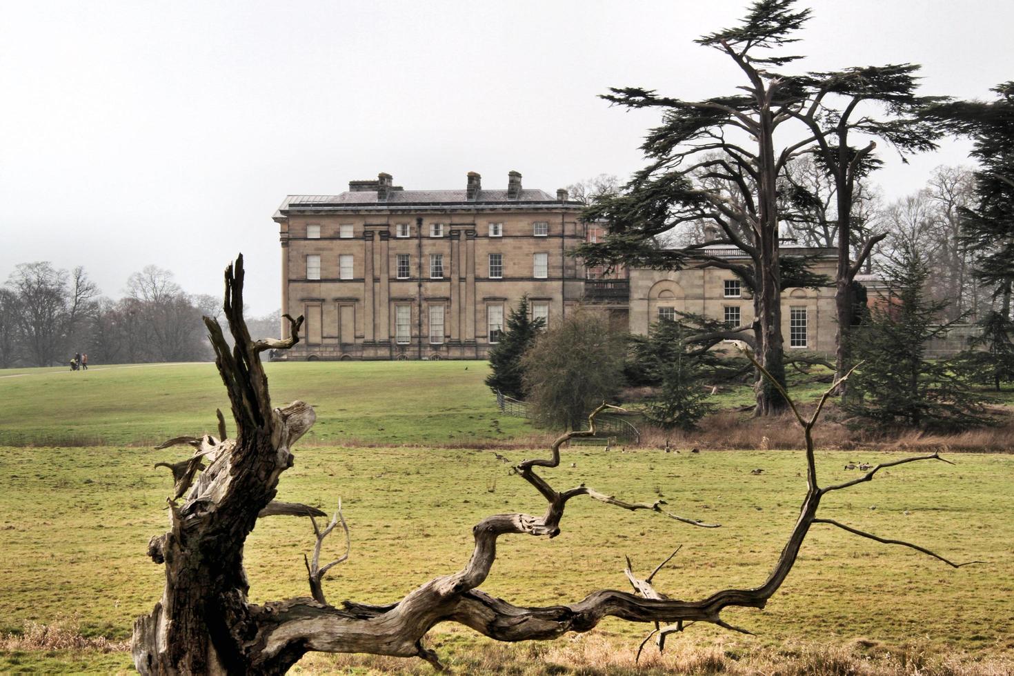 una vista de la campiña de shropshire en attingham cerca de shrewsbury. foto