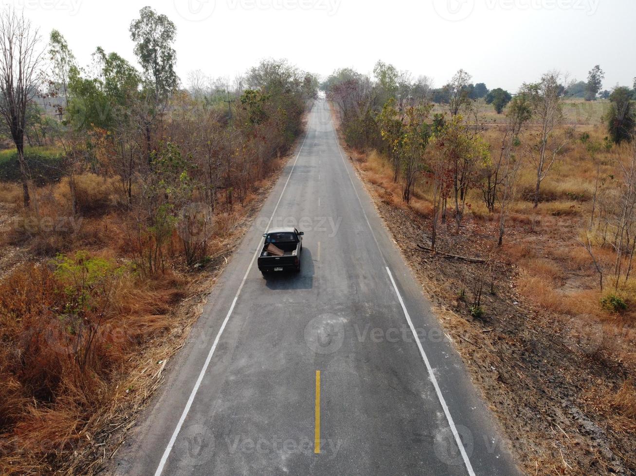 Arid yellow forest, The road in the forest was filled with trees blackened by forest fires. photo