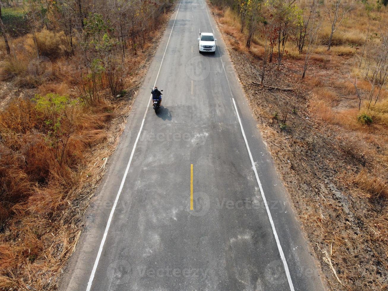 Arid yellow forest, The road in the forest was filled with trees blackened by forest fires. photo