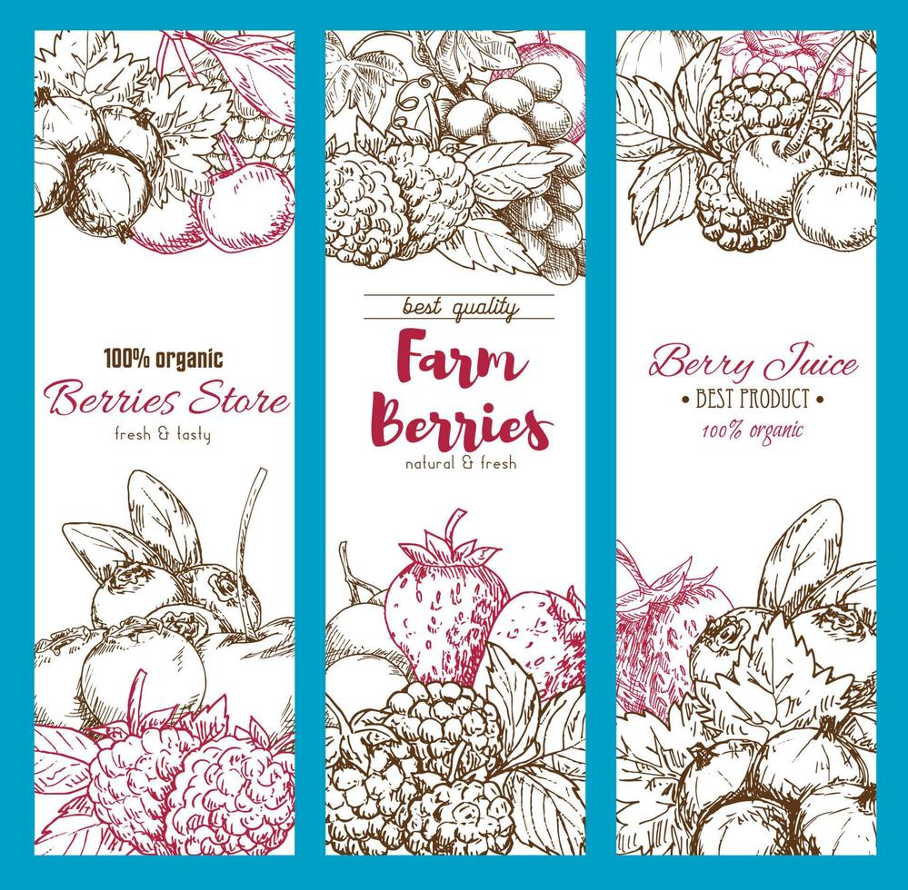 Vector banners of fresh garden berries sketch