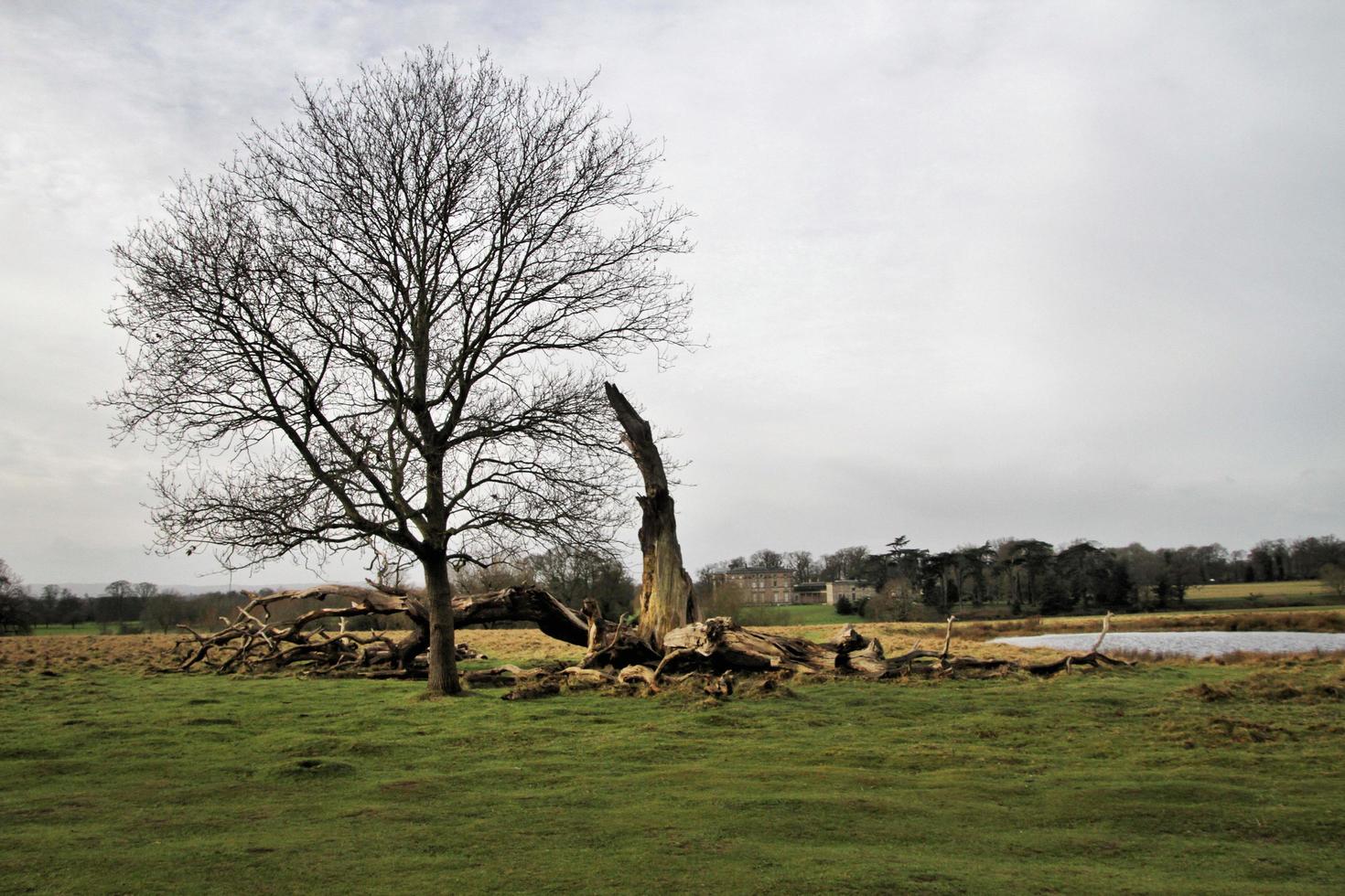 una vista de la campiña de shropshire en attingham cerca de shrewsbury. foto