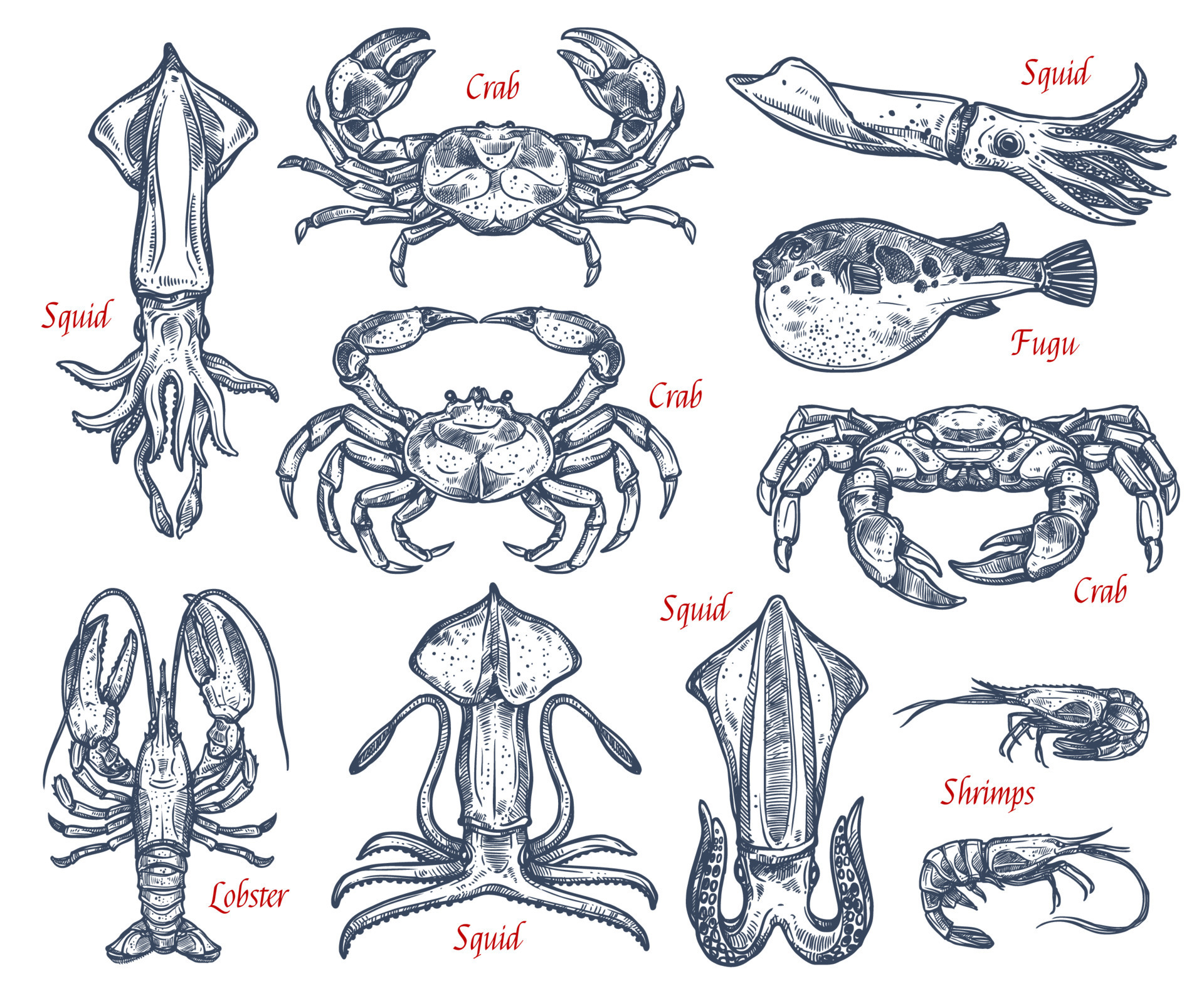 Seafood animal sketch set of fish and crustacean 13053797 Vector Art at