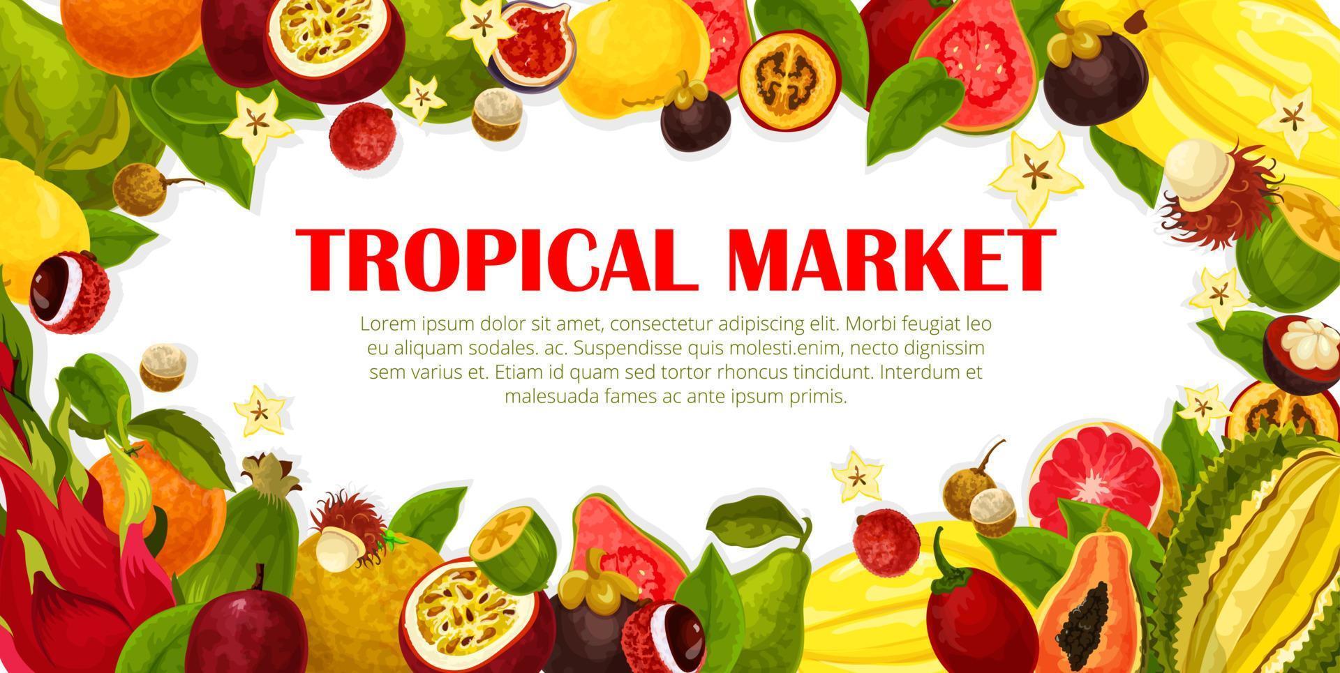 Vector poster of exotic fruits for tropical market