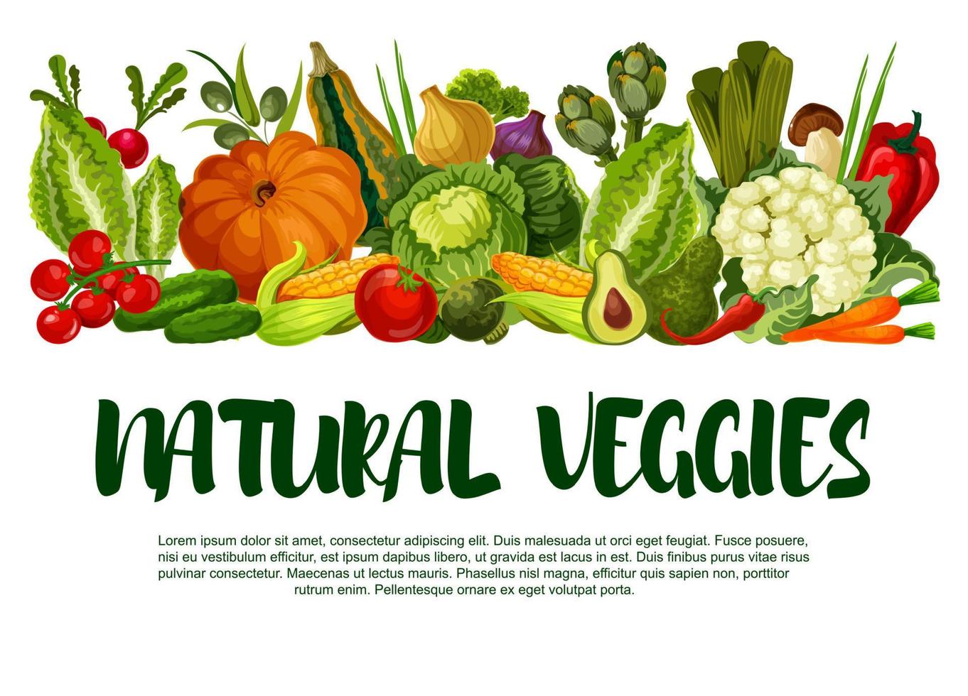 Vector poster of vegetables or veggies harvest