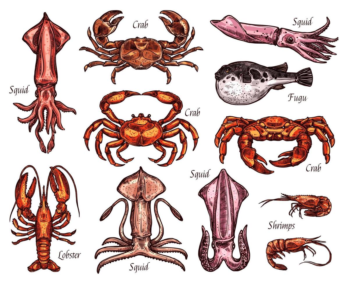 bocetos de animales marinos con peces y crustáceos vector