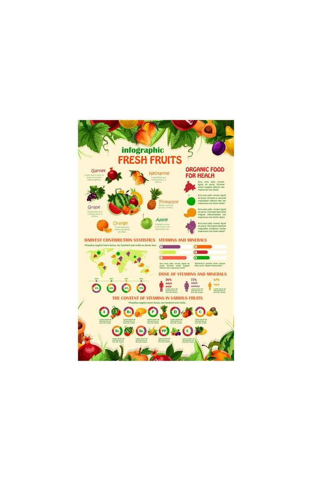 Vector infographics template of exotic garden fruits