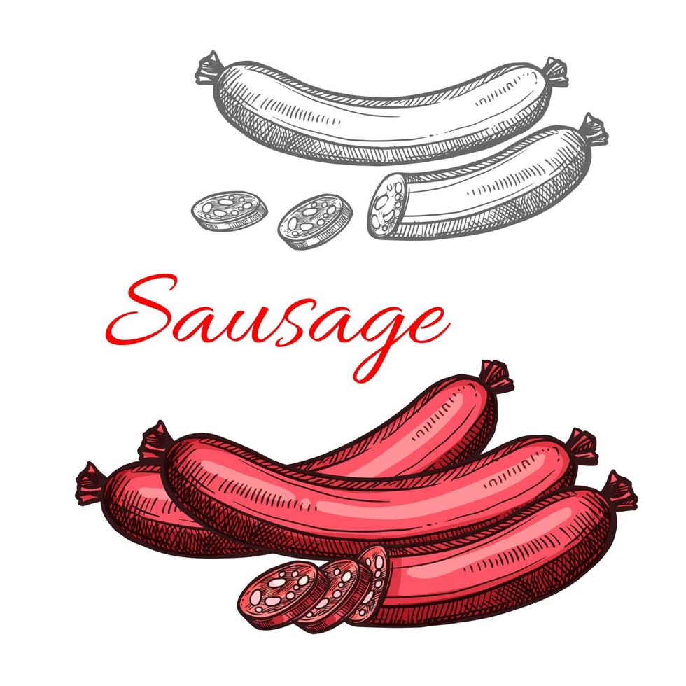 Beef meat sausage sketch of smoked frankfurter vector