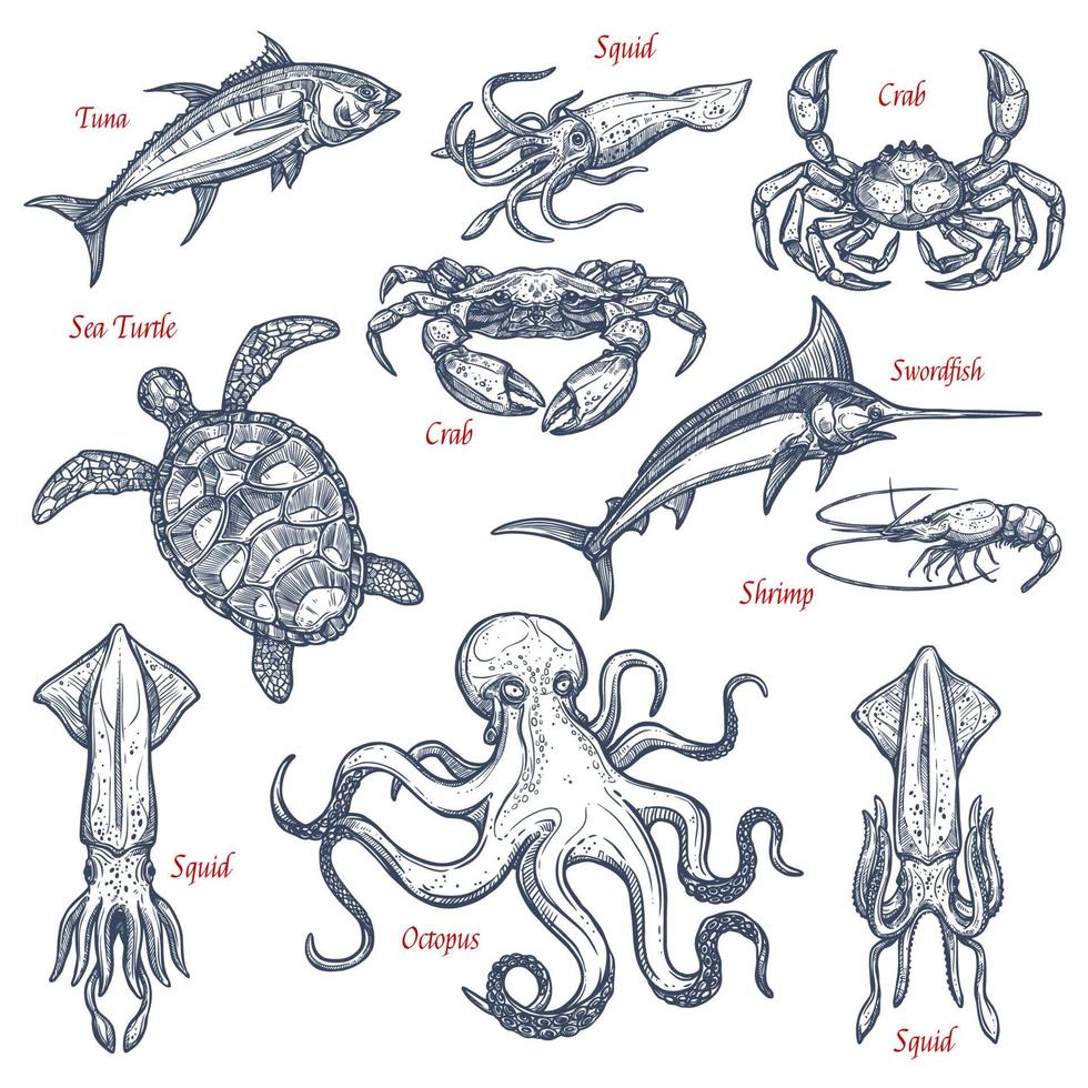 Sea animal isolated sketch set of seafood and fish vector