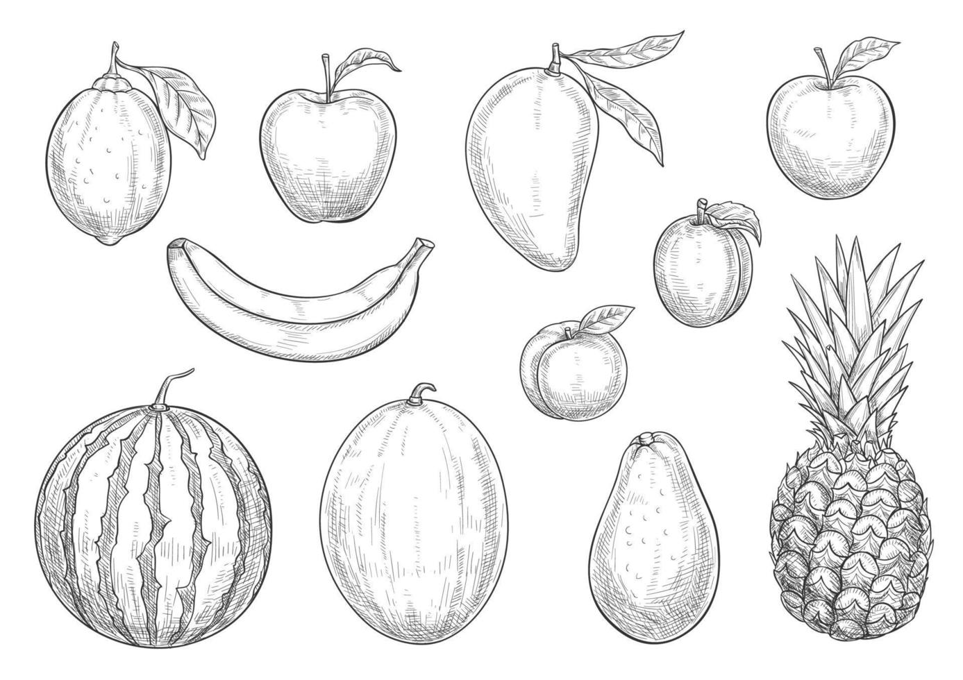 frutas exóticas frescas bosquejo vector iconos aislados