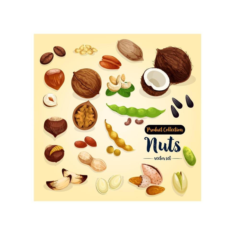 Nut, bean and seed vector set, superfood design