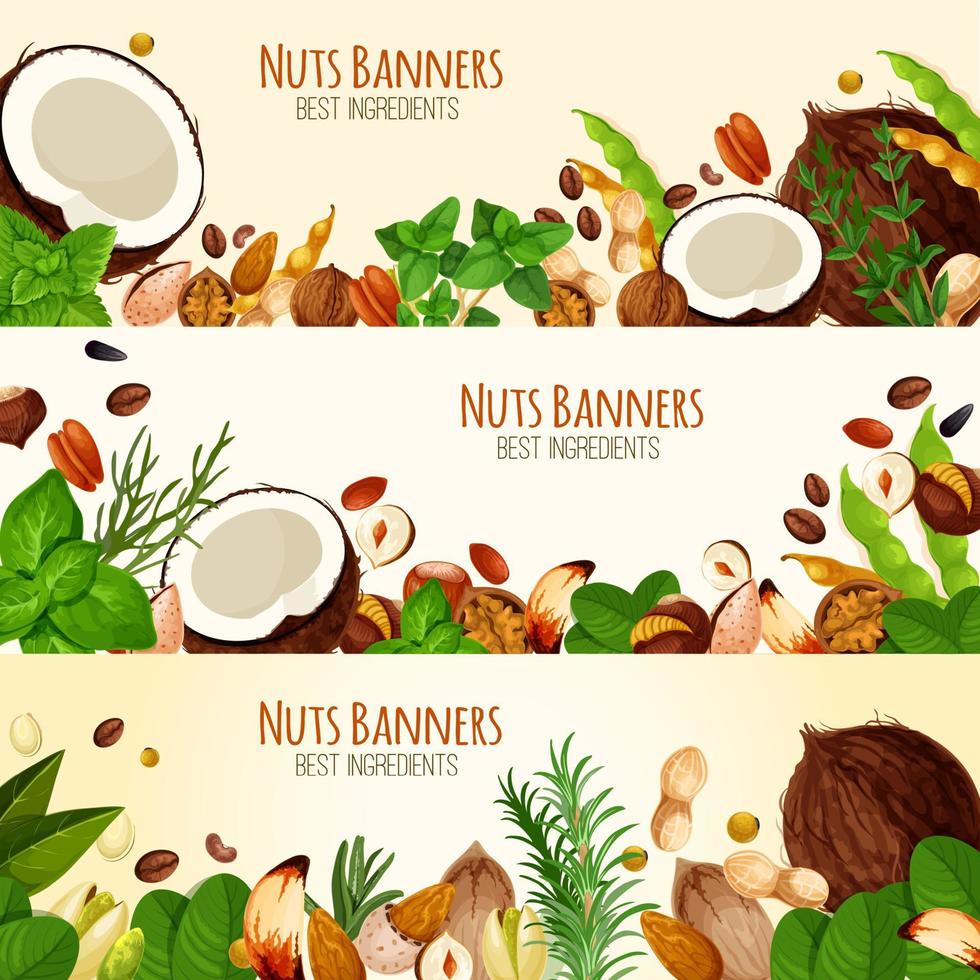 pancartas vectoriales de nueces y semillas de frutas vector