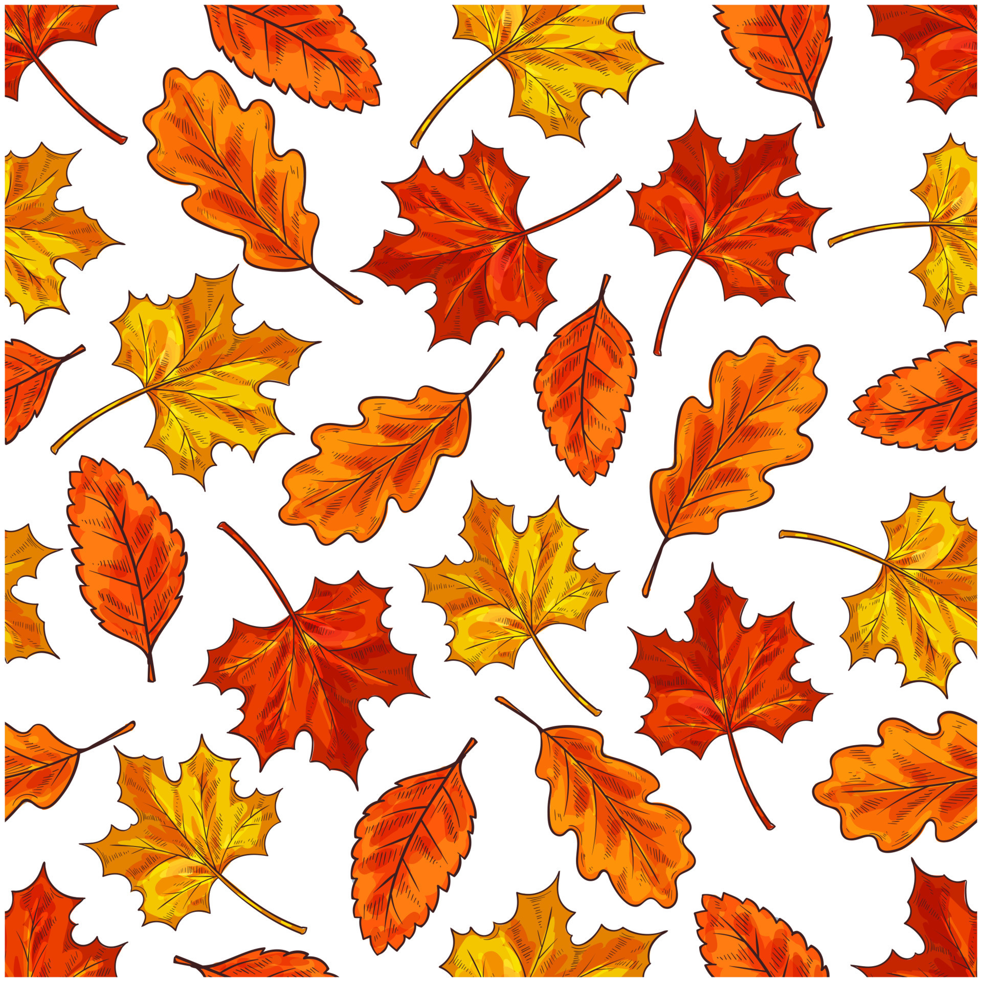 Autumn leaf seamless pattern background 13054146 Vector Art at Vecteezy