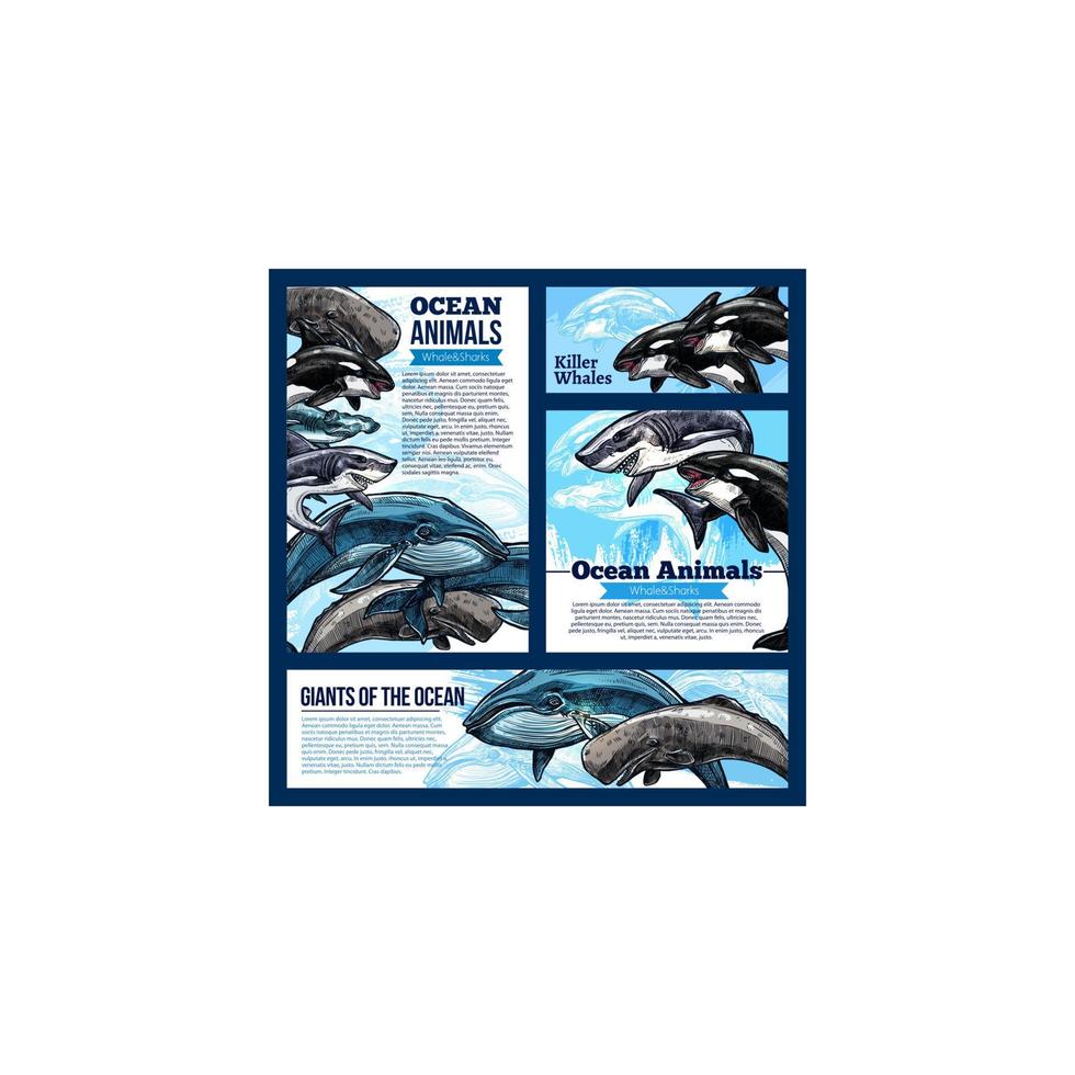 banners de animales marinos de ballenas y tiburones vector