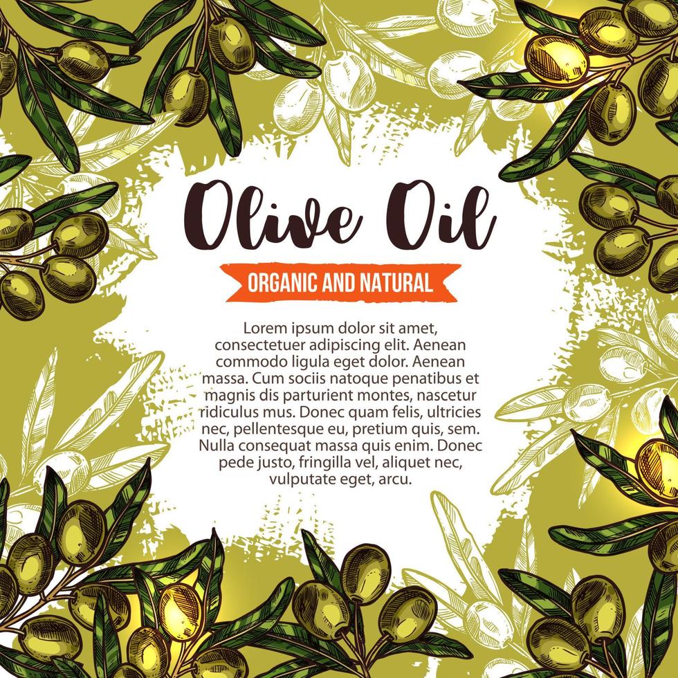 Green olive branch poster for oil label design vector