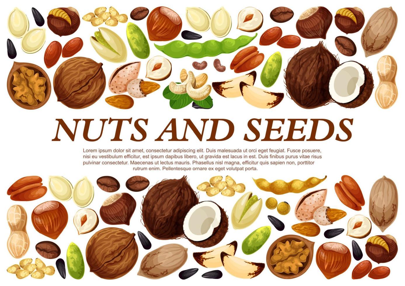 cartel de vector de nueces y semillas de frutas