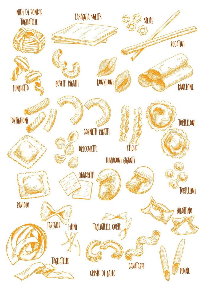 Italian pasta vector sketch names icons set