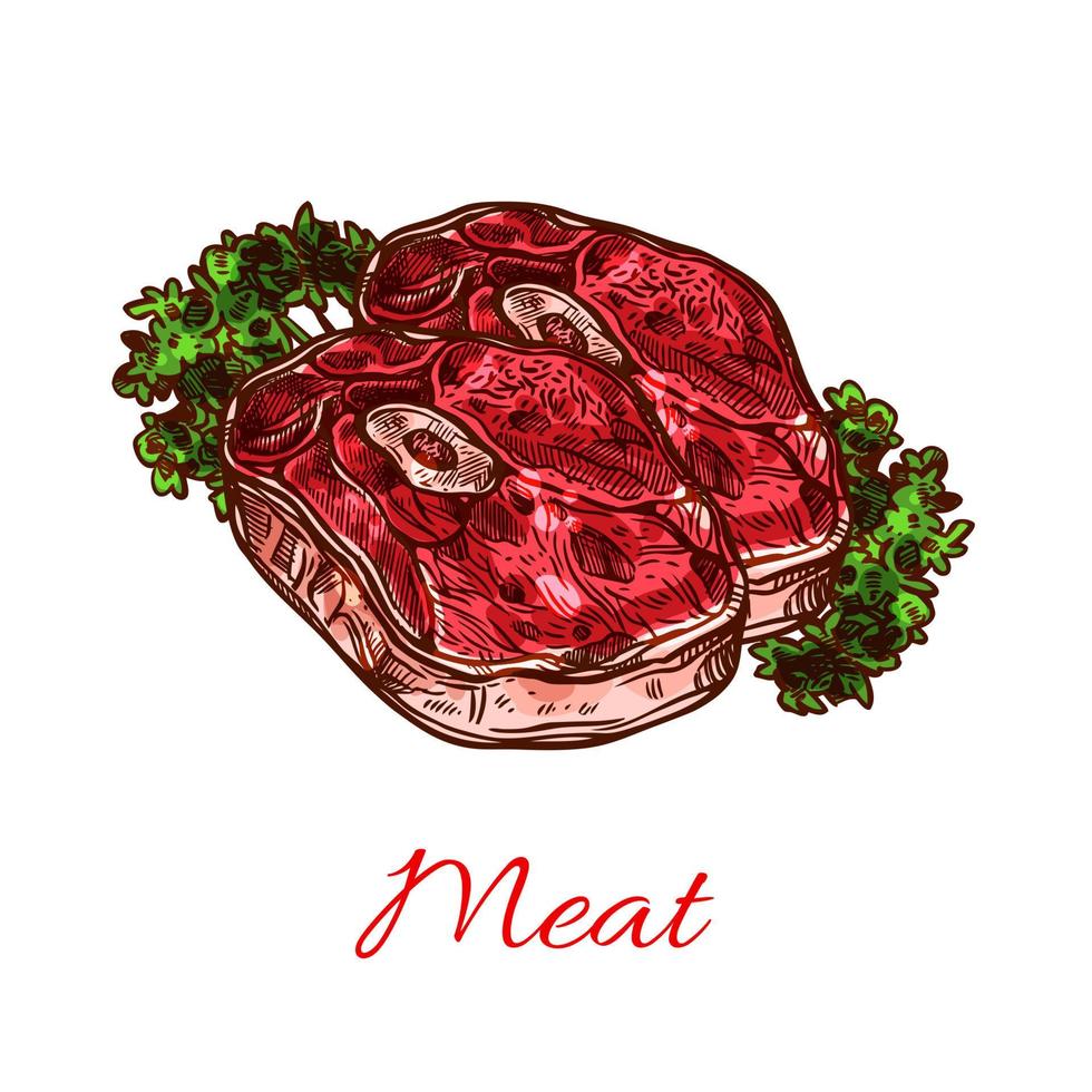 boceto aislado de bistec de carne para el diseño de alimentos vector