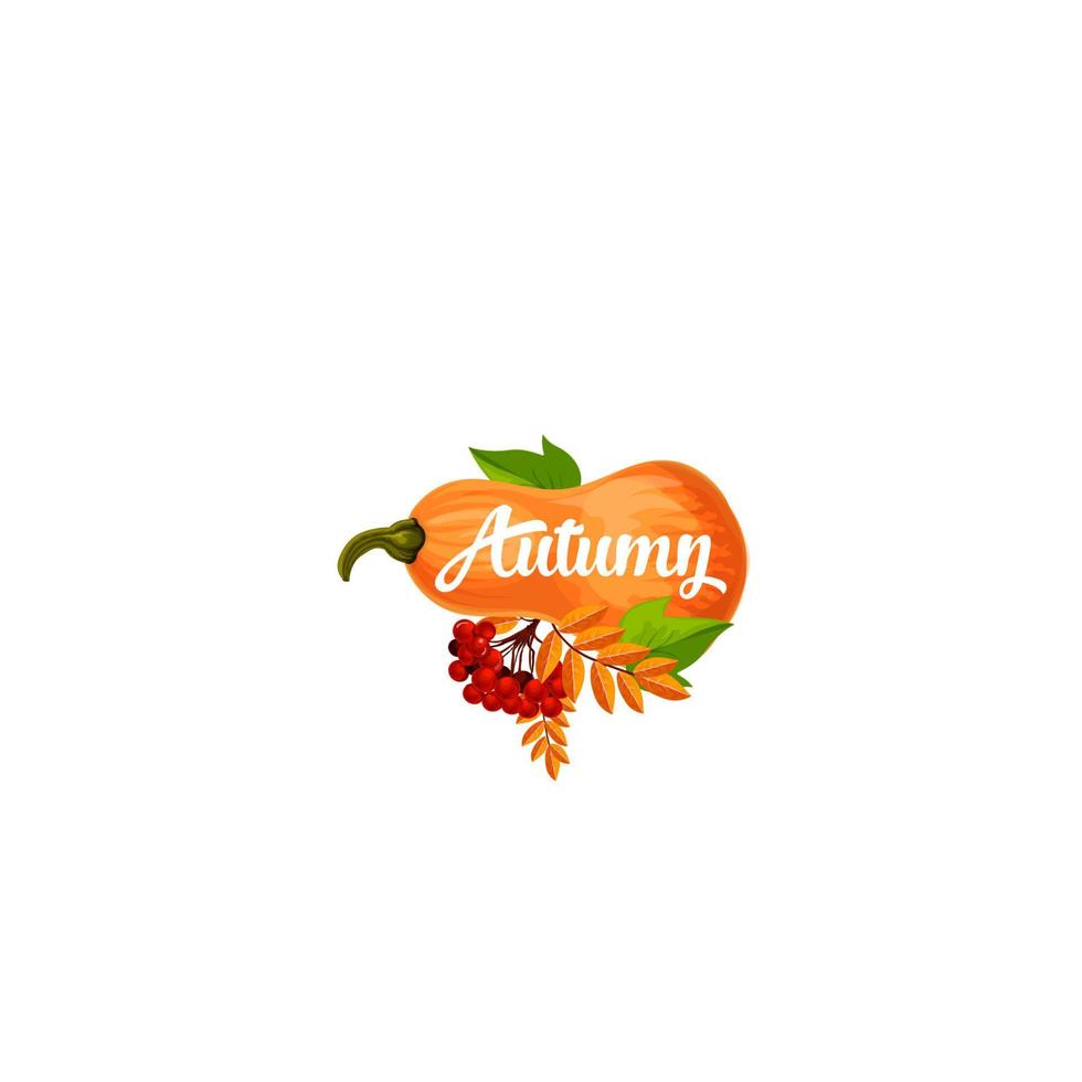 Autumn vector pumpkin poster of leaf fall