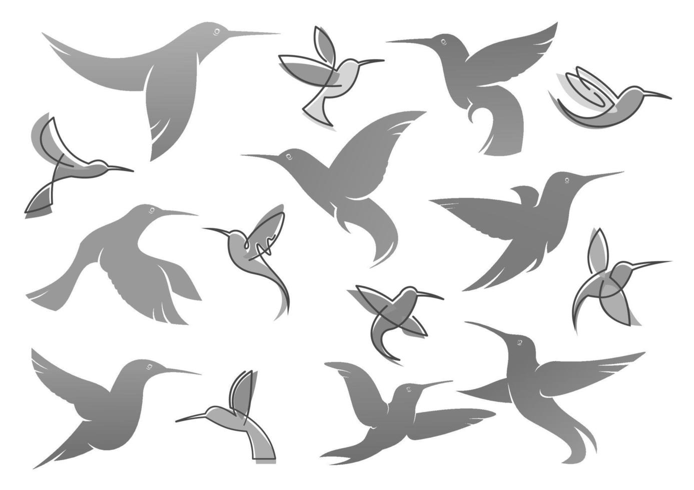 Vector icons of colibri humming bird