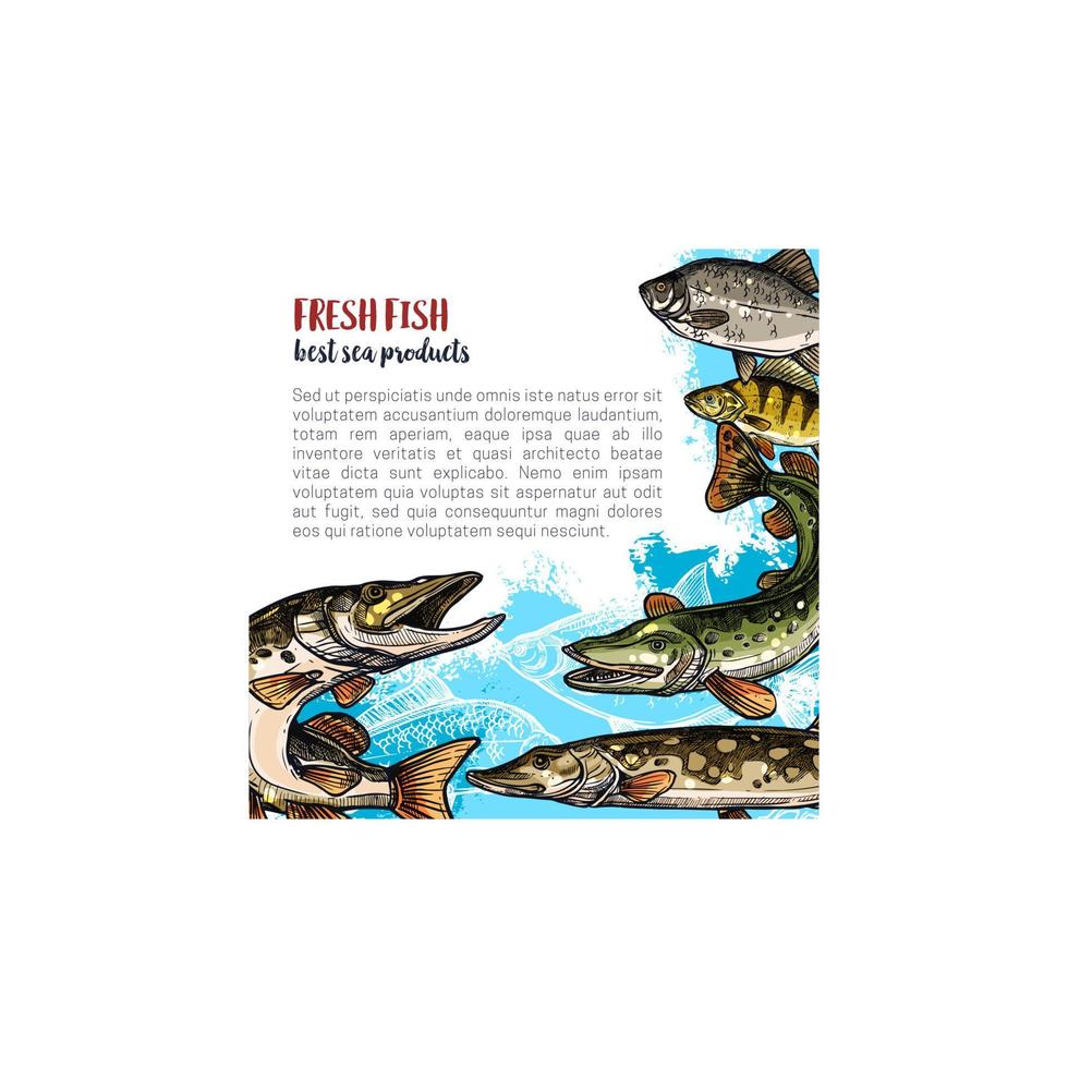 Fish animal sketch poster template design vector