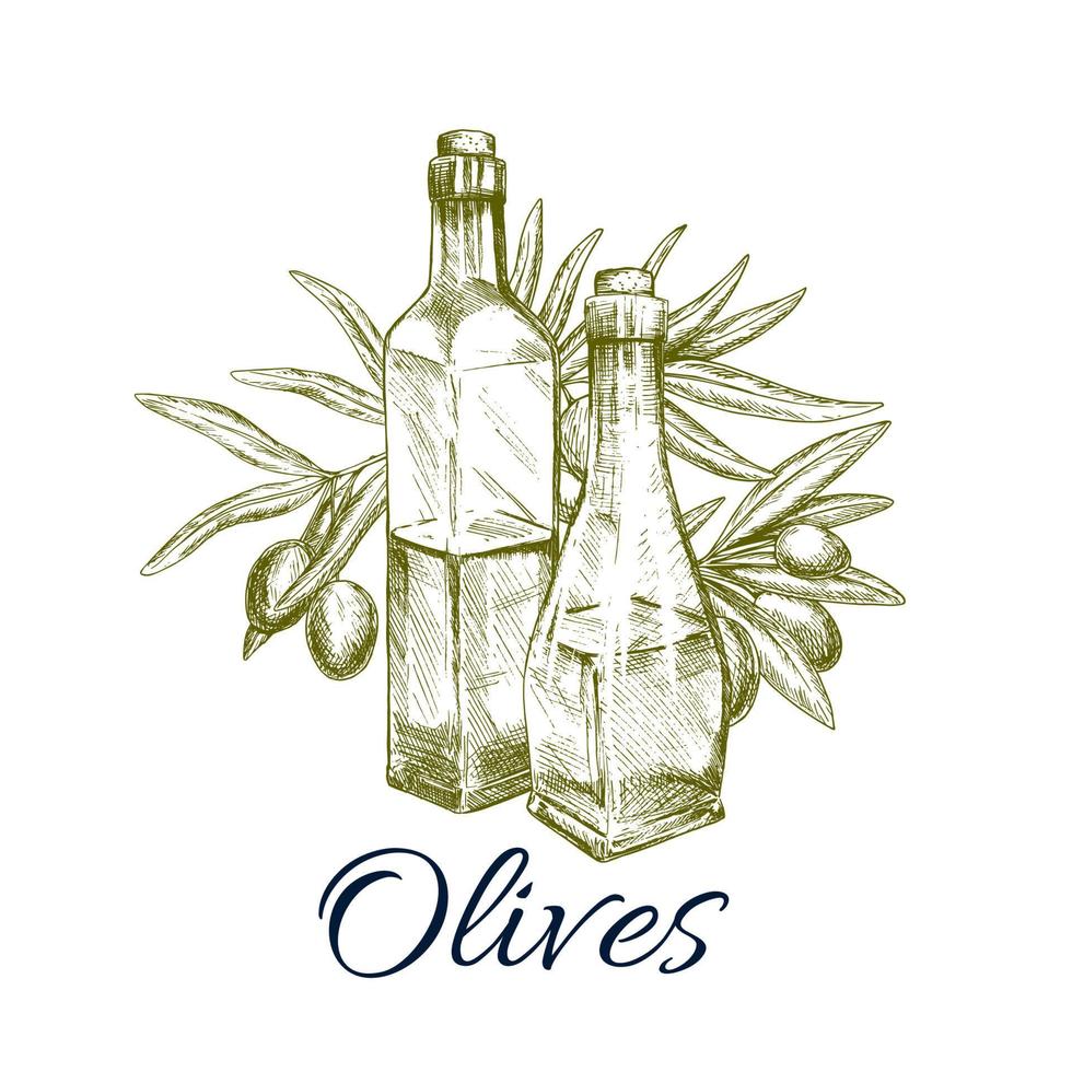 diseño de etiqueta de boceto de aceite de oliva con rama, fruta vector