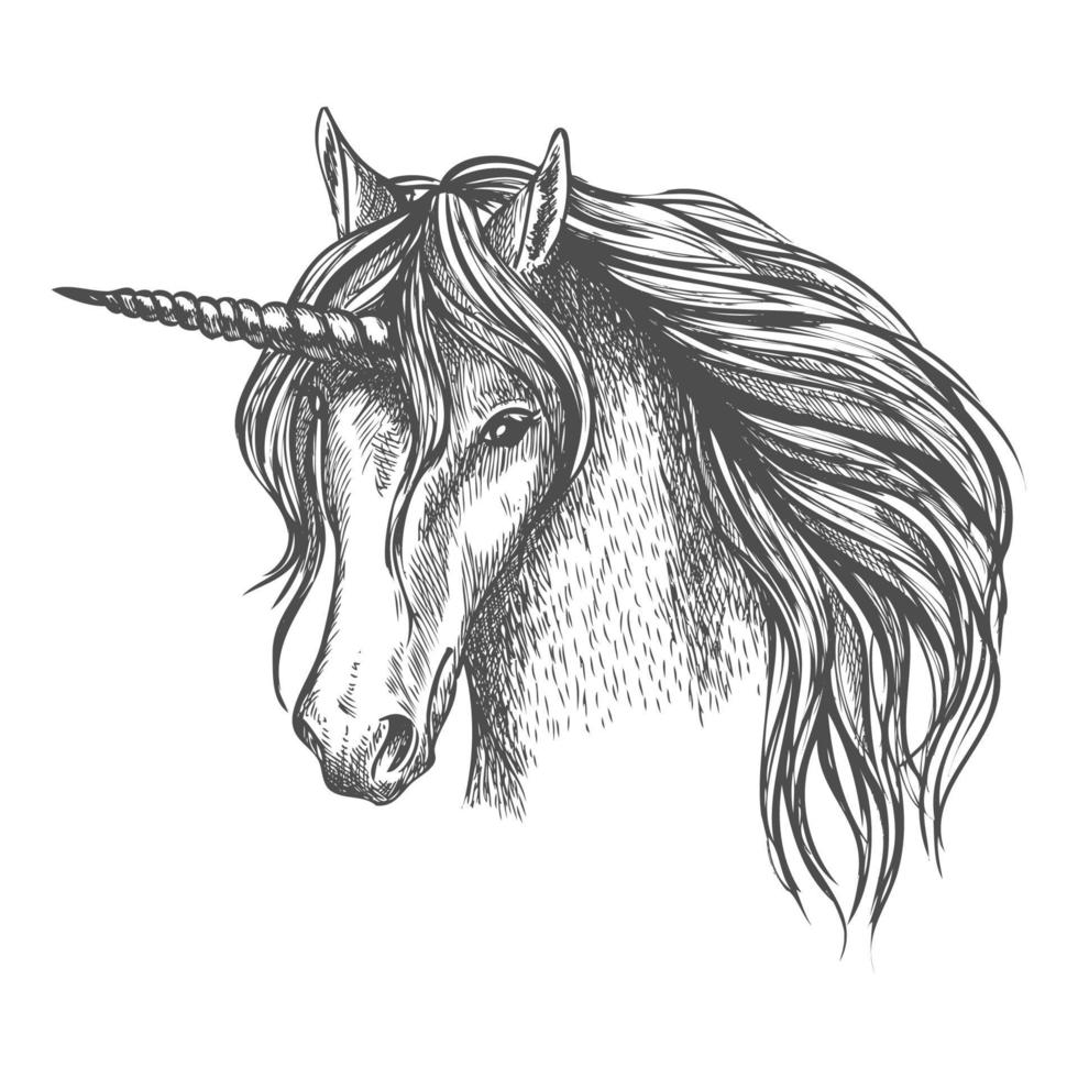 Unicorn mythic horse with horn vector sketch