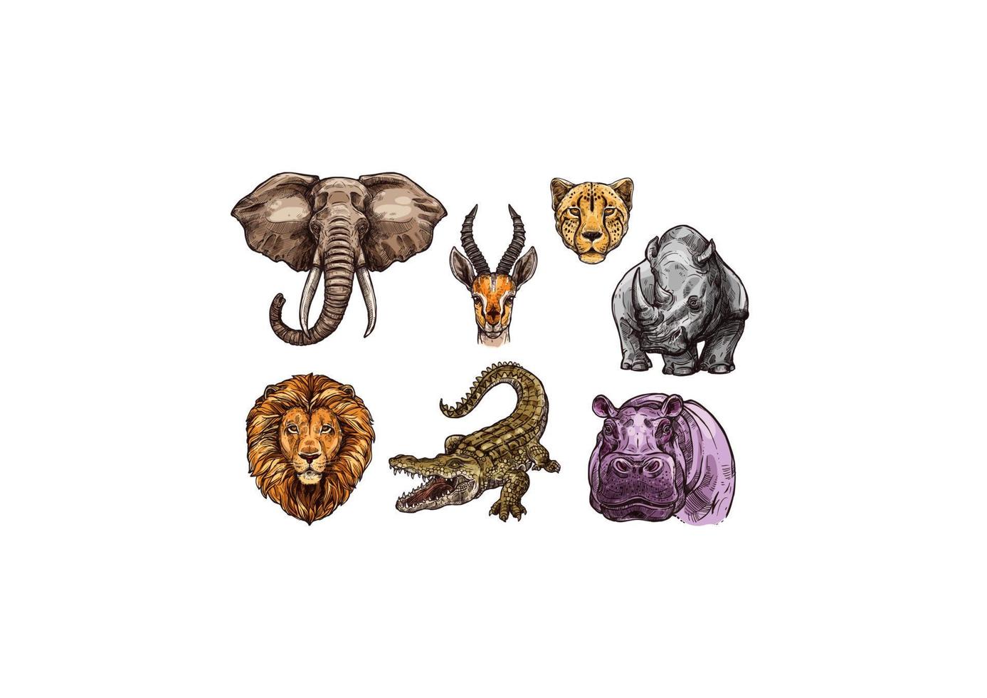 African animal sketch set of elephant, lion, hippo vector