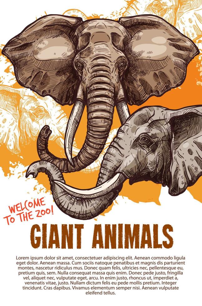 cartel de vector de zoológico de elefantes de animales africanos