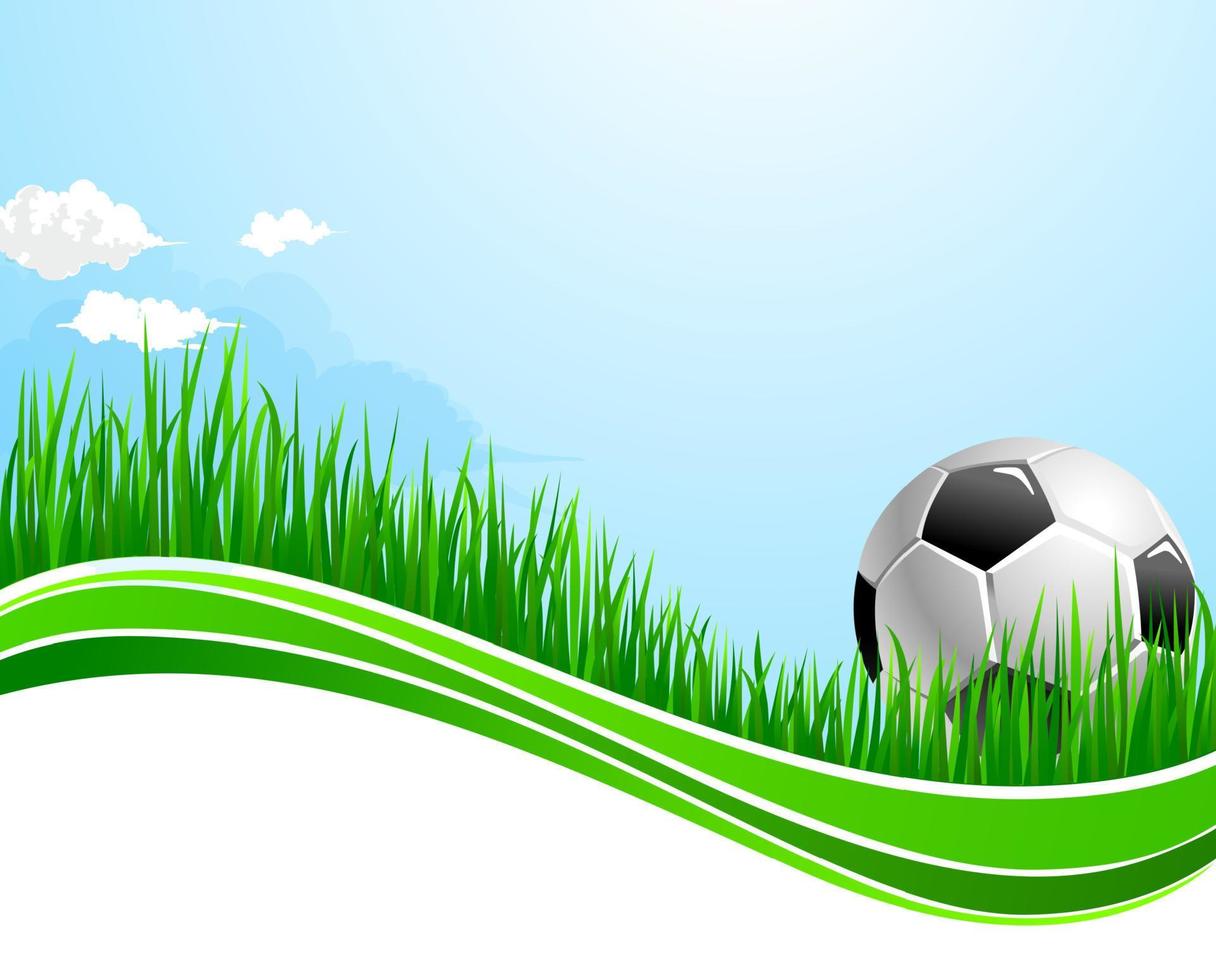 Vector football soccer sport arena background