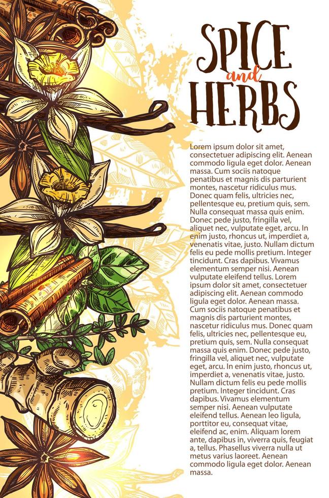 Vector sketch spices and herbs farm store poster