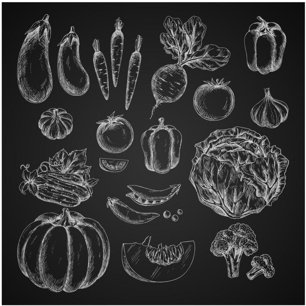 Vegetables isolated icons vector sketch