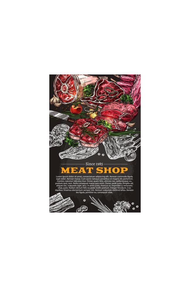 Vector poster of butchery shop meat product sketch